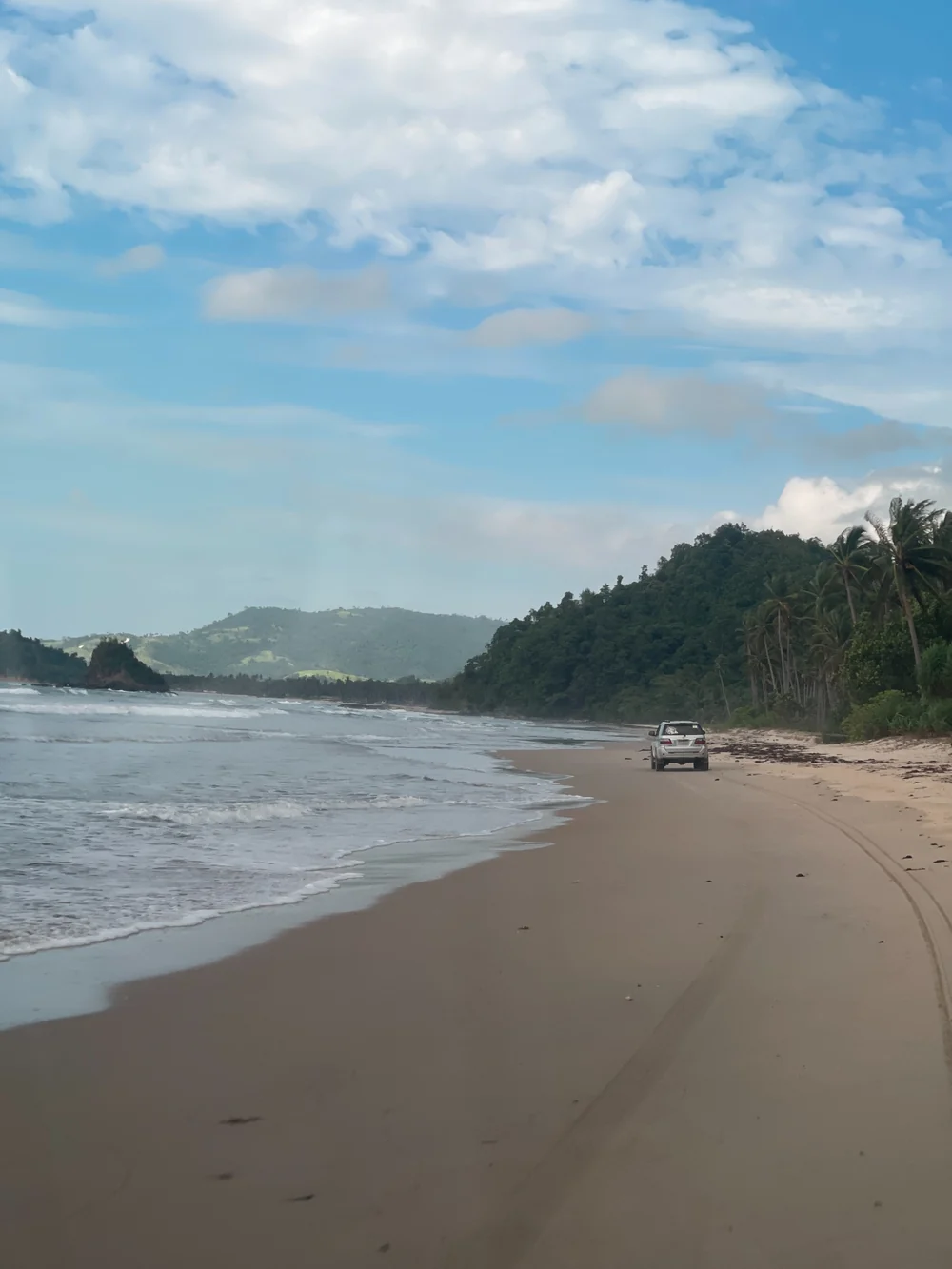 A four-wheel-drive vehicle travelling along a remote beach beside a wooded coastline